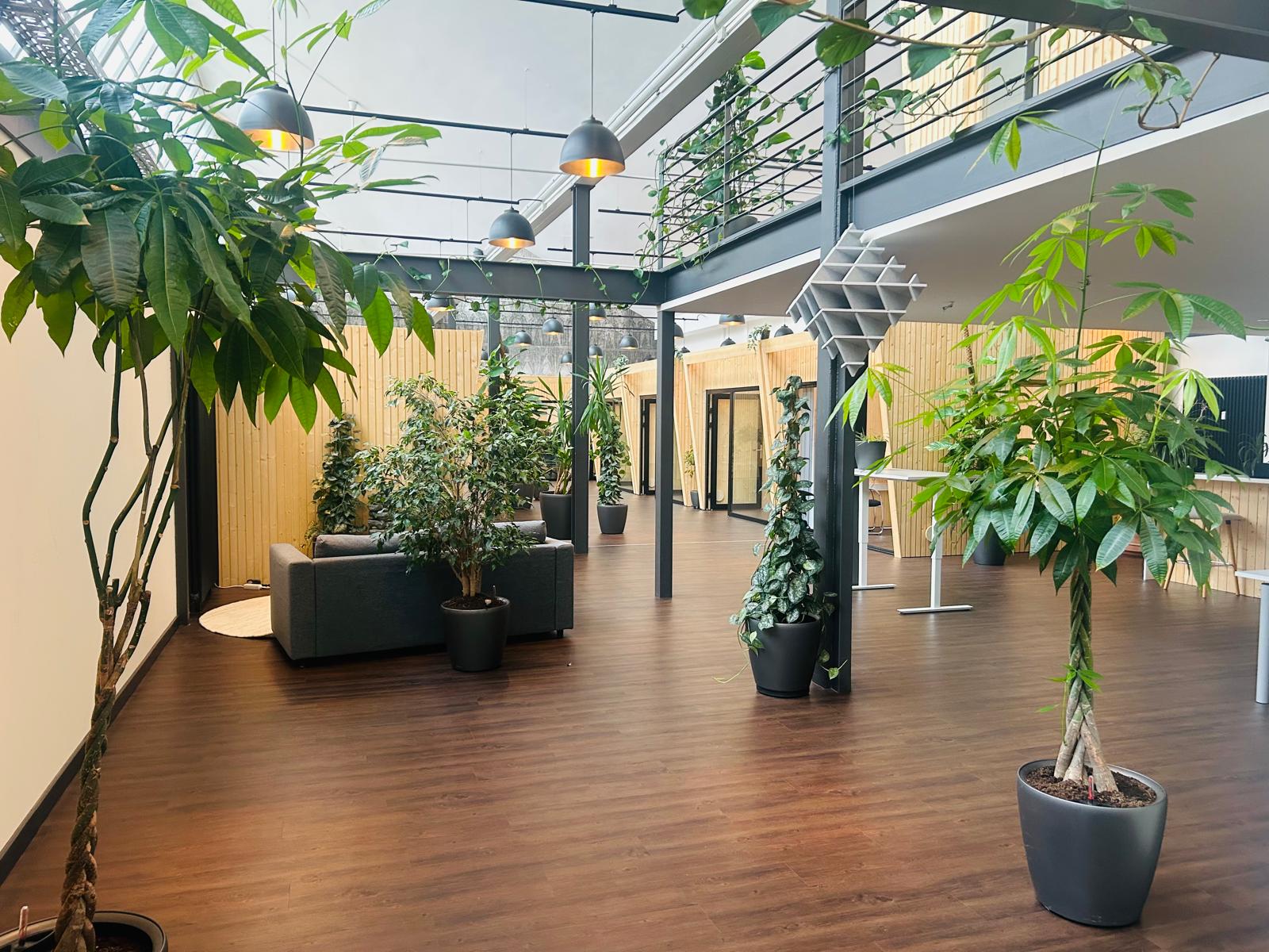 Eingangsbereich — offene Architektur mit üppiger Begrünung