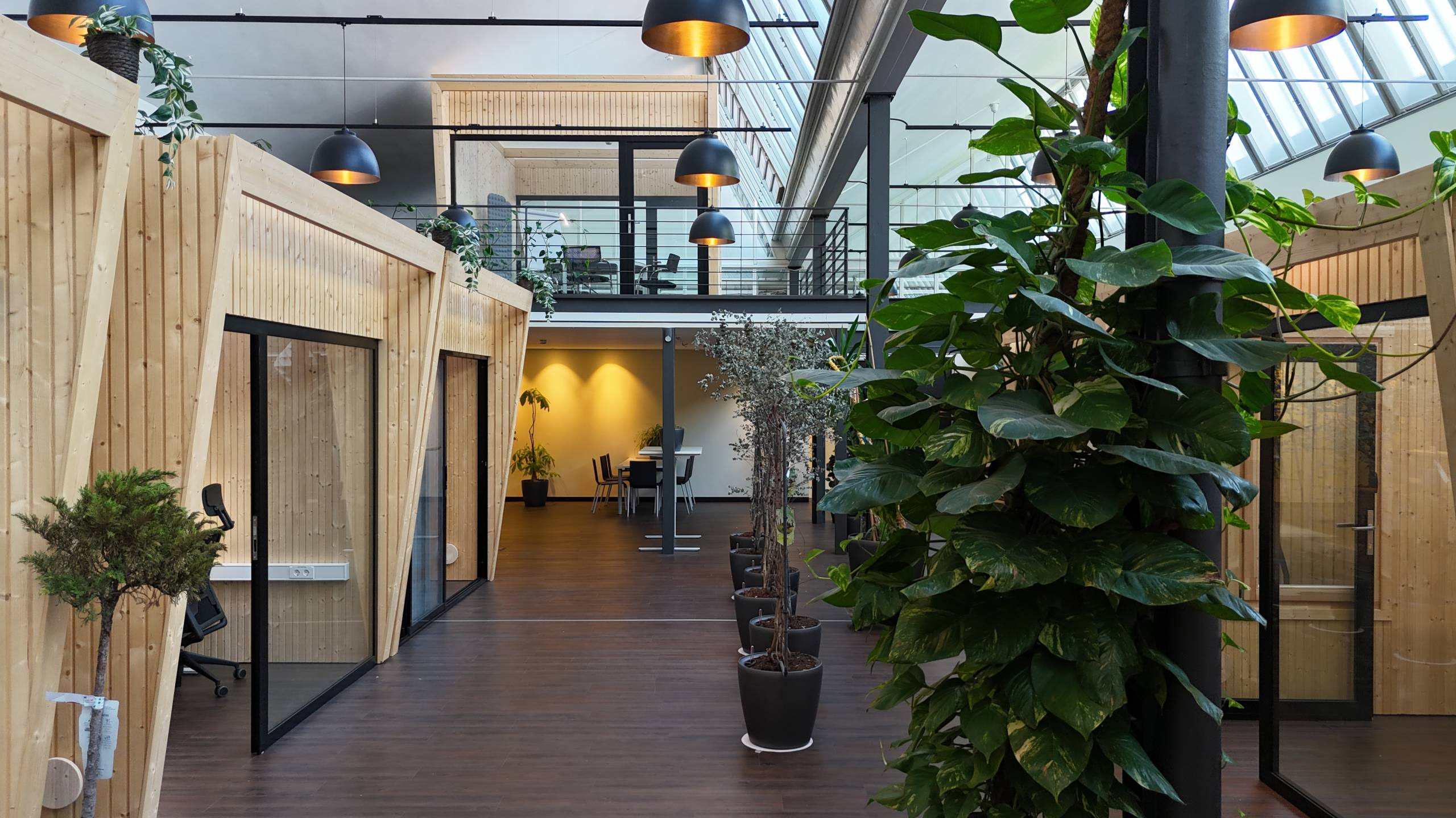 Green Office — Arbeiten zwischen Pflanzen und Tageslicht